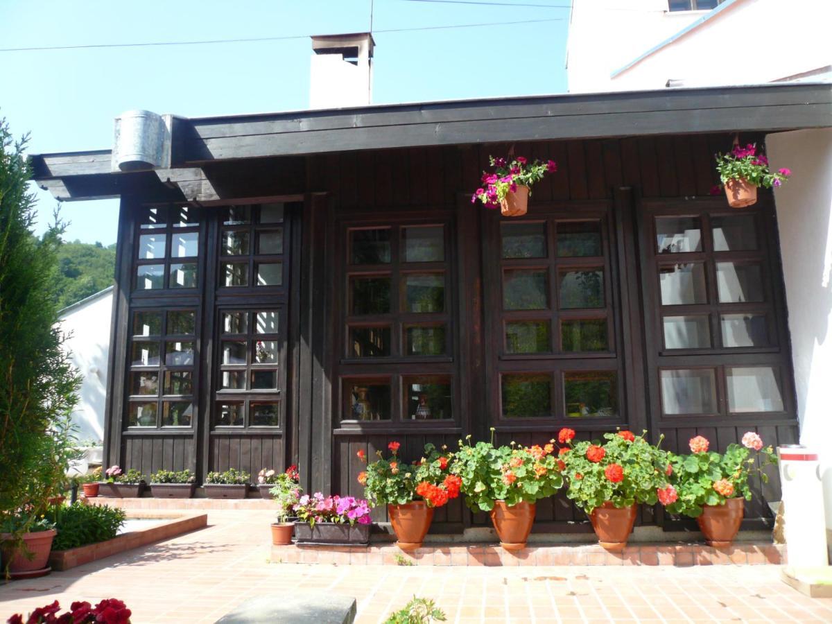 Мечтаната Селска Къща На Реката Със Семейство И Приятели! Ribarica Exterior photo